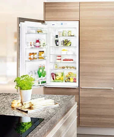 Встраиваемый холодильник Liebherr IK 1950 Premium