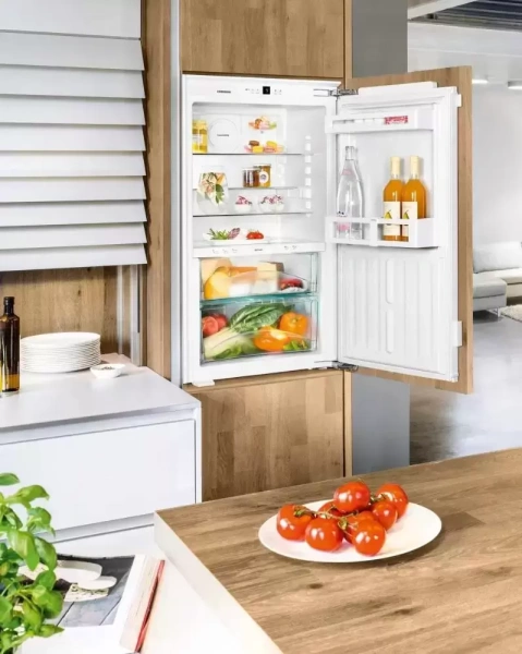 Холодильник Liebherr IKB 1920