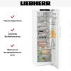 Холодильник Liebherr Rd 5250