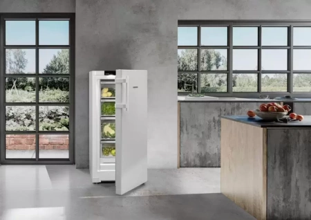 Холодильник Liebherr RBa30 425i