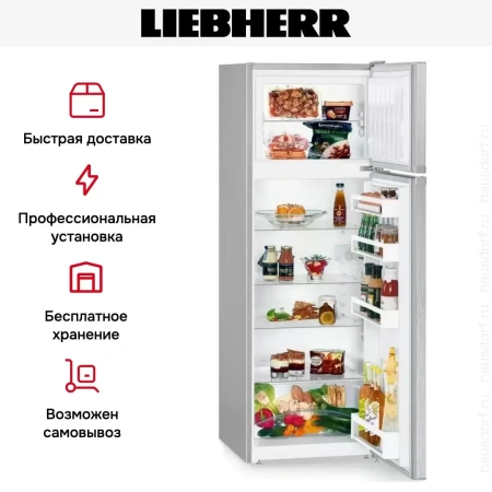 Холодильник Liebherr CTele 2931