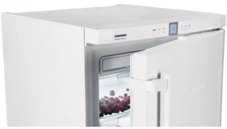 Морозильник Liebherr GNP 1956