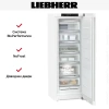 Морозильник Liebherr FNe 5026
