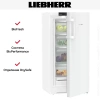 Холодильник Liebherr RBa30 425i