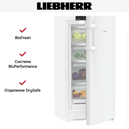 Холодильник Liebherr RBa30 425i
