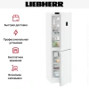 Холодильник Liebherr CNd 5734