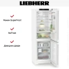 Холодильник Liebherr CBNc 5223