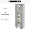 Холодильник Liebherr RBsdd 5250