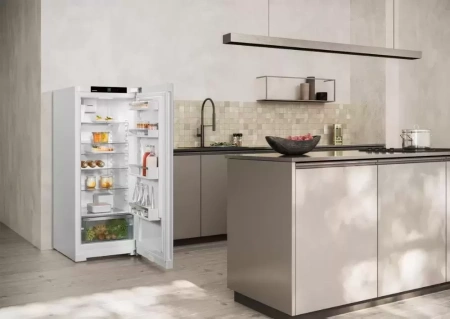 Холодильник Liebherr Rf 4600 Pure