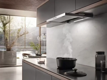 Встраиваемая вытяжка Miele DAS 2620