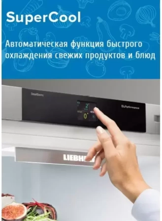 Холодильник Liebherr KBef 3730 Comfort