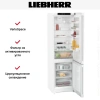 Холодильник Liebherr CNf 5703