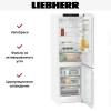 Холодильник Liebherr CNf 5203