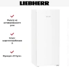 Холодильник Liebherr Rf 4600 Pure