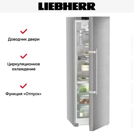 Холодильник Liebherr RBsdd 5250