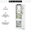 Встраиваемый холодильник Liebherr ICBNSd 5623