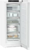 Морозильник Liebherr FNe 4605