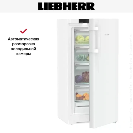 Холодильник Liebherr RBa 4250