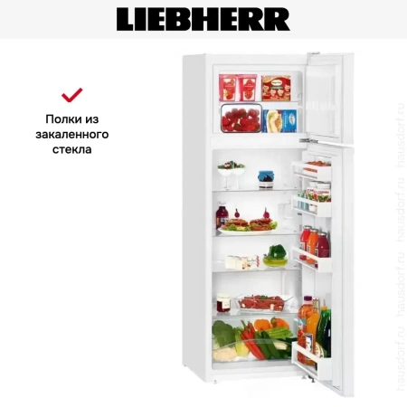 Холодильник Liebherr CT 2931