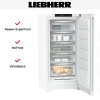 Морозильник Liebherr FNd 6625