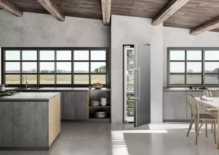 Холодильник Liebherr RBsdd 5250