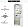 Встраиваемый холодильник Liebherr IRBSe 5120 Plus