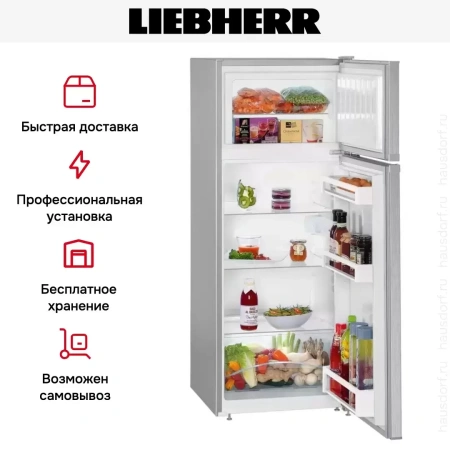 Холодильник Liebherr CTPel 231