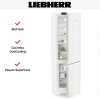 Холодильник Liebherr CBNc 5723