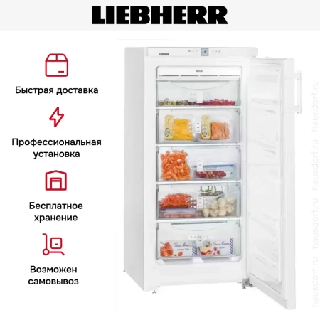 Морозильник Liebherr GNP 1956