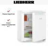 Холодильник Liebherr Re 1000