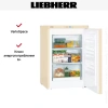 Морозильник Liebherr Gbe 1213
